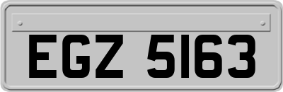 EGZ5163