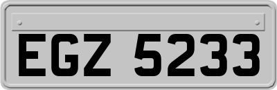 EGZ5233