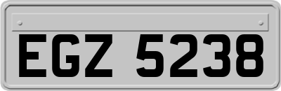 EGZ5238