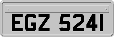 EGZ5241