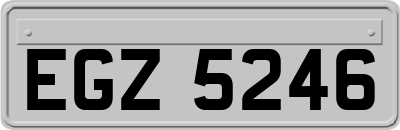 EGZ5246