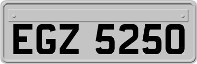 EGZ5250