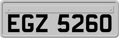 EGZ5260