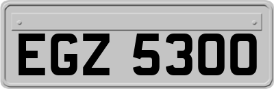 EGZ5300