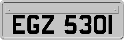 EGZ5301