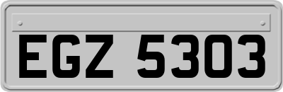 EGZ5303