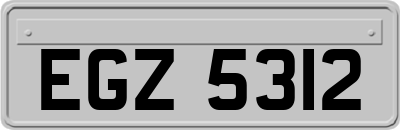 EGZ5312