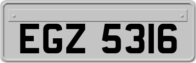 EGZ5316