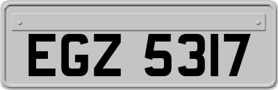 EGZ5317