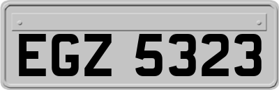 EGZ5323