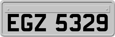 EGZ5329