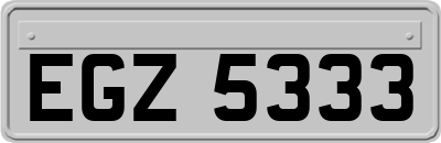 EGZ5333