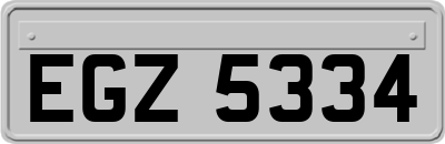 EGZ5334