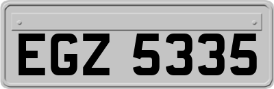 EGZ5335
