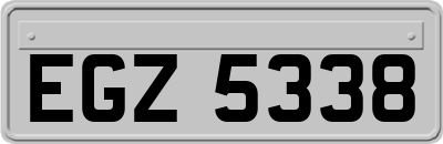 EGZ5338