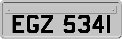 EGZ5341
