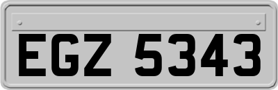 EGZ5343