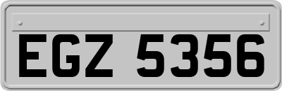 EGZ5356