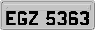 EGZ5363