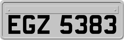 EGZ5383