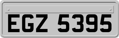 EGZ5395