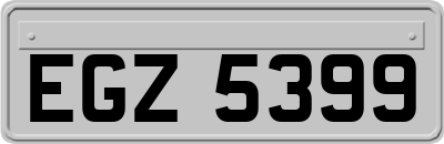 EGZ5399