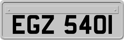 EGZ5401