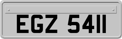 EGZ5411