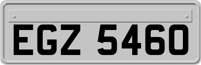 EGZ5460