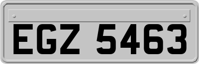 EGZ5463
