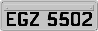 EGZ5502