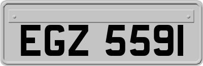 EGZ5591