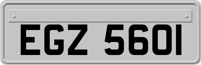 EGZ5601