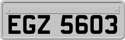 EGZ5603