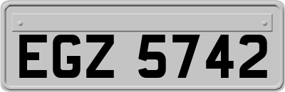 EGZ5742