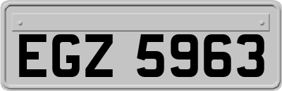 EGZ5963
