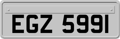 EGZ5991