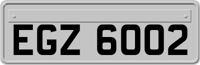 EGZ6002