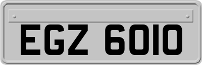 EGZ6010