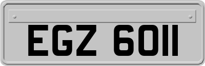 EGZ6011