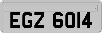 EGZ6014