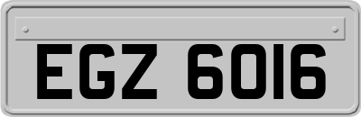 EGZ6016