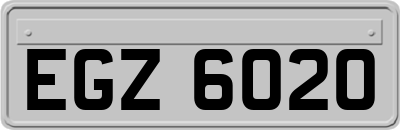 EGZ6020