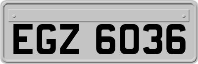 EGZ6036
