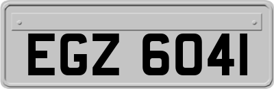 EGZ6041