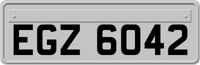 EGZ6042