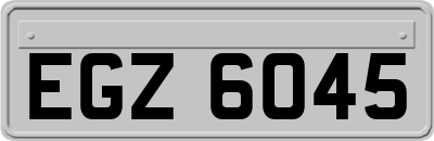 EGZ6045