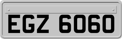 EGZ6060