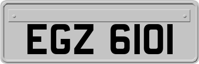 EGZ6101