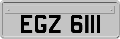 EGZ6111